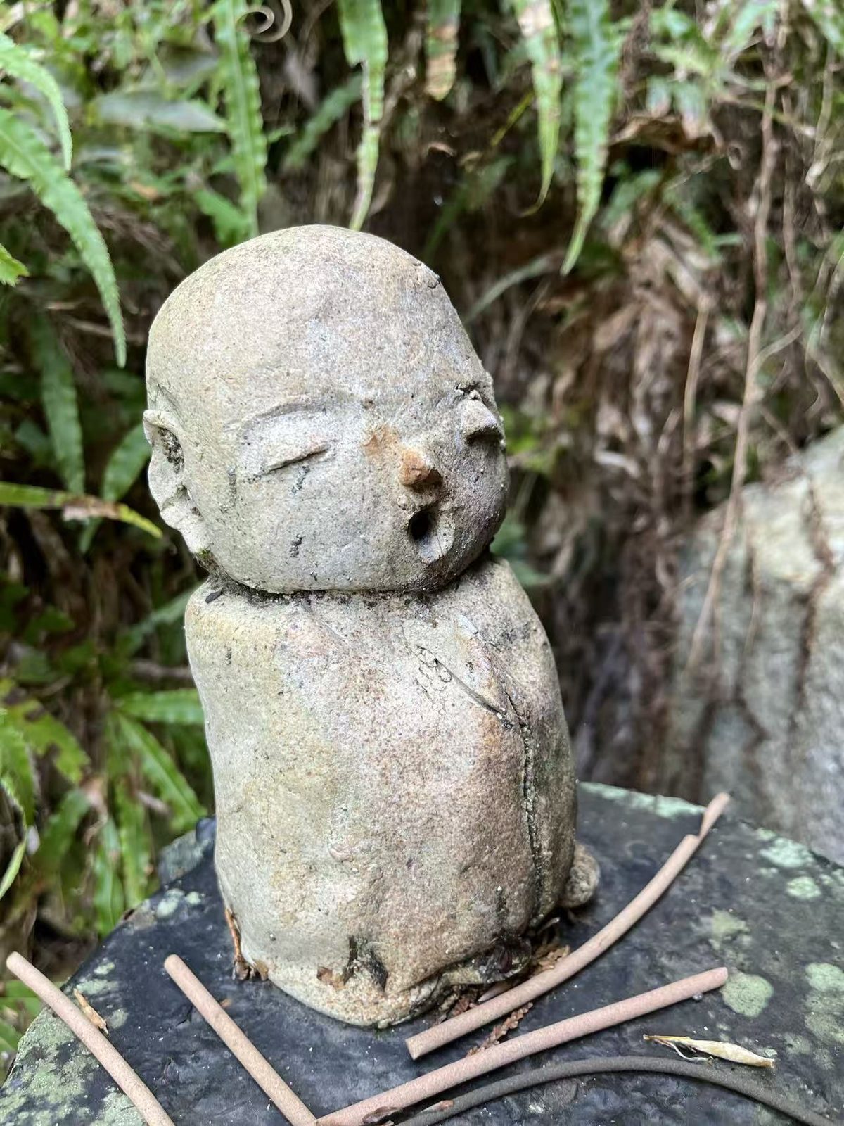 蕨草丛前一尊风化的小石像,座前留有燃过的线香