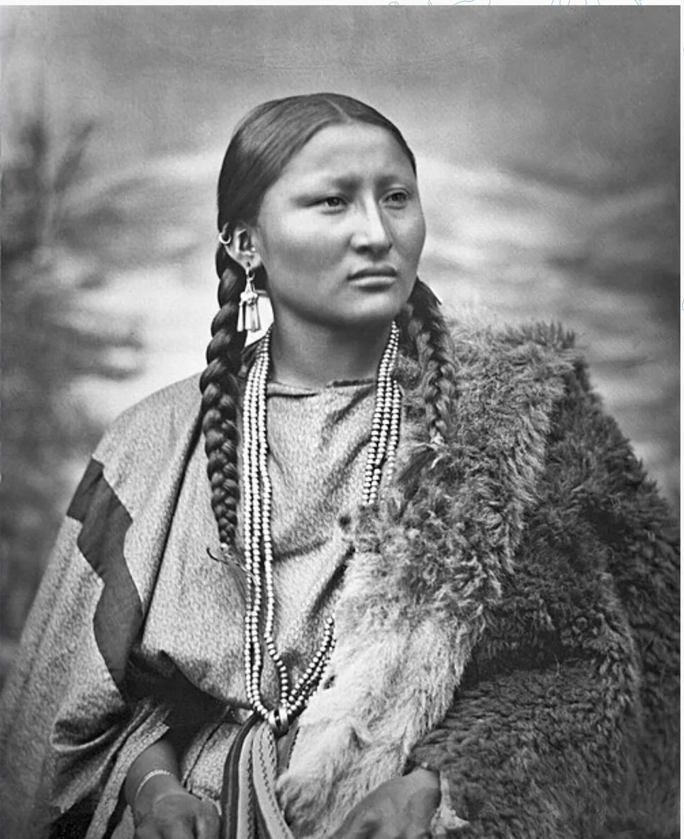 漂亮鼻子(Pretty Nose),1878年